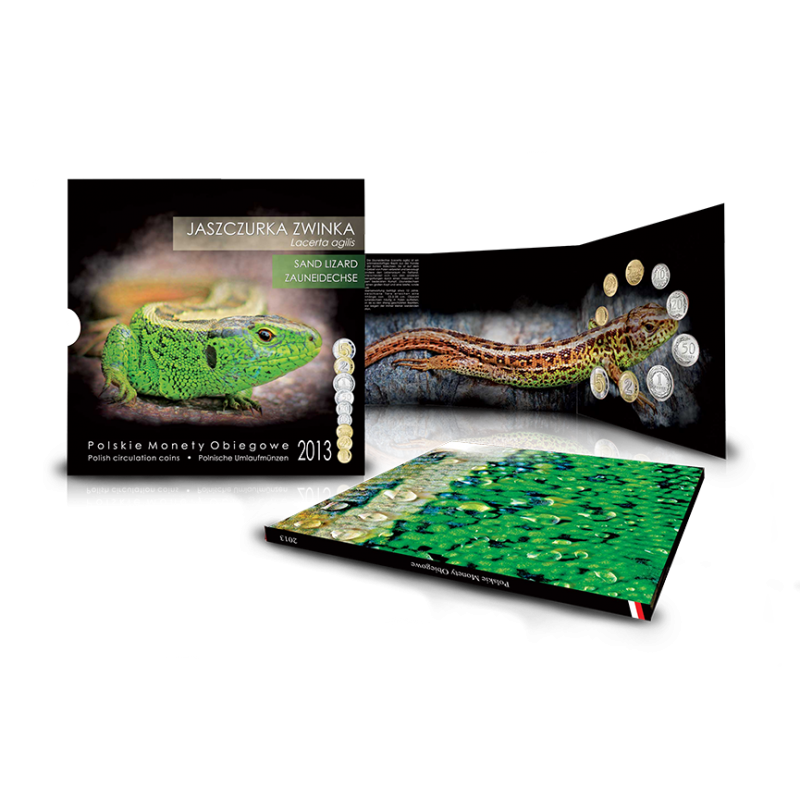 Blister - Polskie Monety Obiegowe - 2013 rok