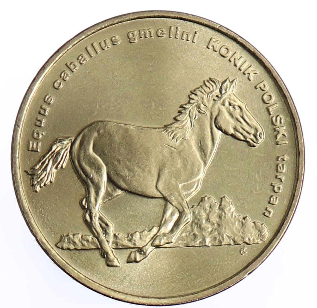 Moneta 2 zł Konik polski - 2014 rok