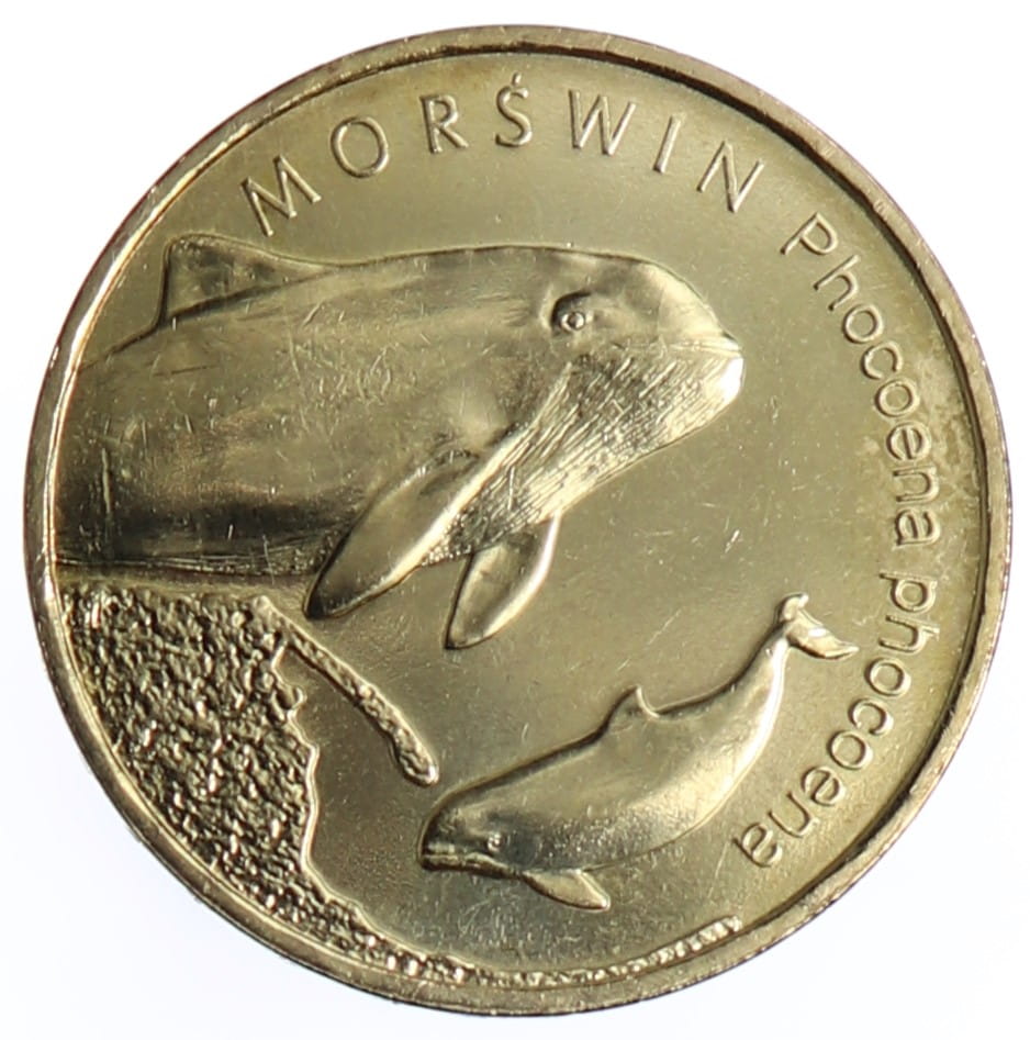 Moneta 2 zł Morświn - 2004 rok