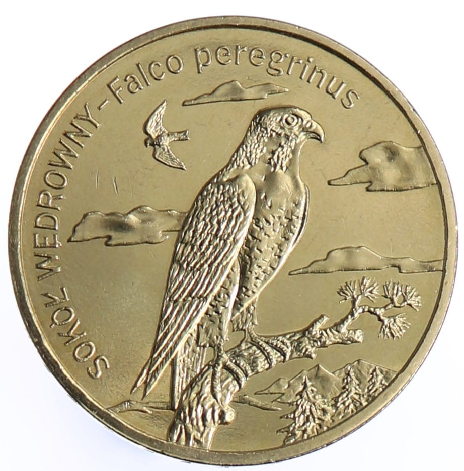 Moneta 2 zł Sokół wędrowny - 2008 rok