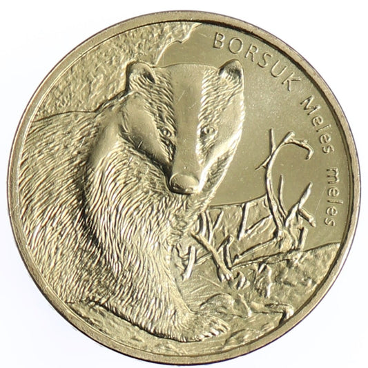 Moneta 2 zł Borsuk - 2011 rok