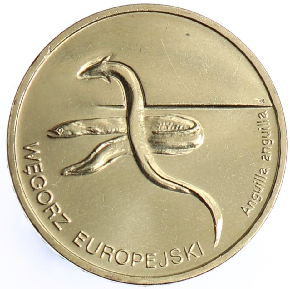 Moneta 2 zł Węgorz europejski - 2003 rok