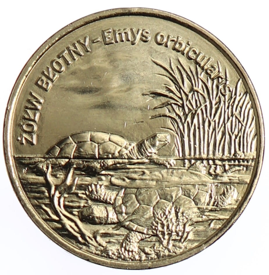Moneta 2 zł Żółw błotny - 2002 rok