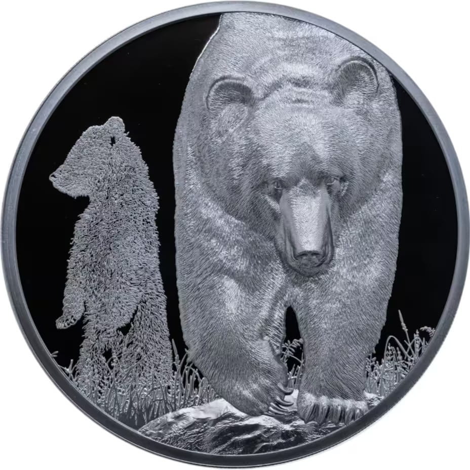 Moneta 50 Cedi - Niedźwiedź Brunatny - Ghana - 5 Uncji Srebra